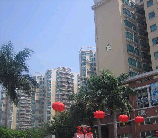 沙井小区图片