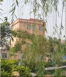 大岭山小区图片