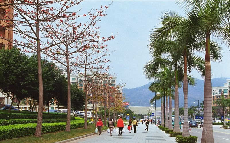 梅林一村人口_梅林一村