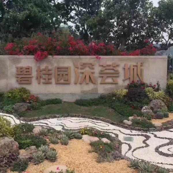 【多图】龙光城二手房,176万,坪山碧桂园深荟