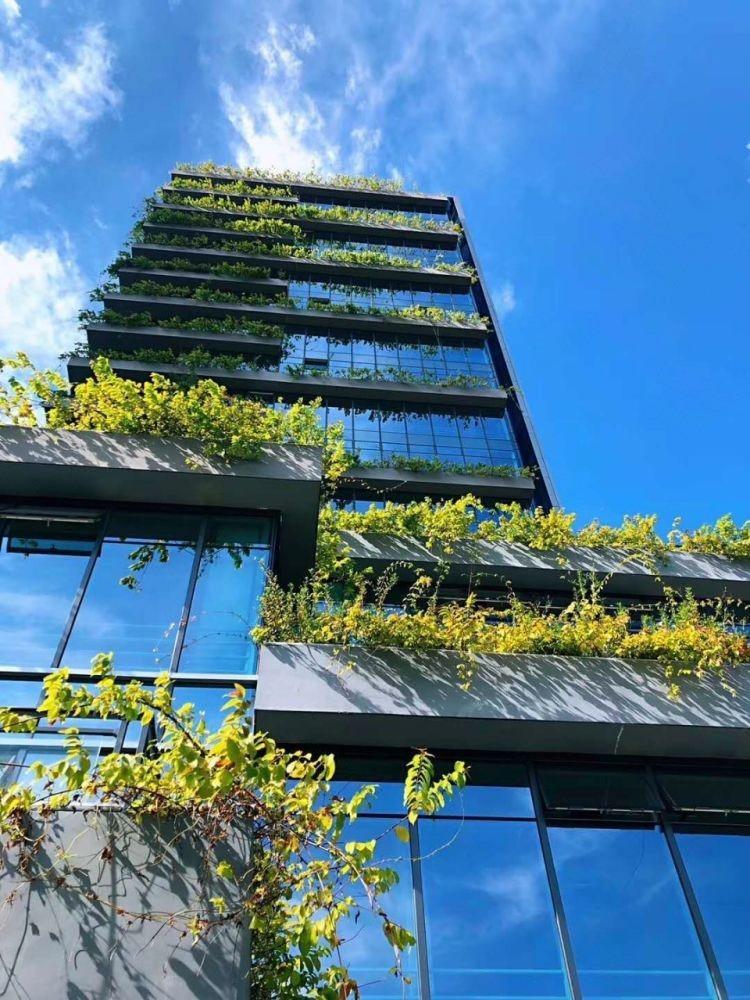 深圳凤凰智谷大厦二手房房源图片