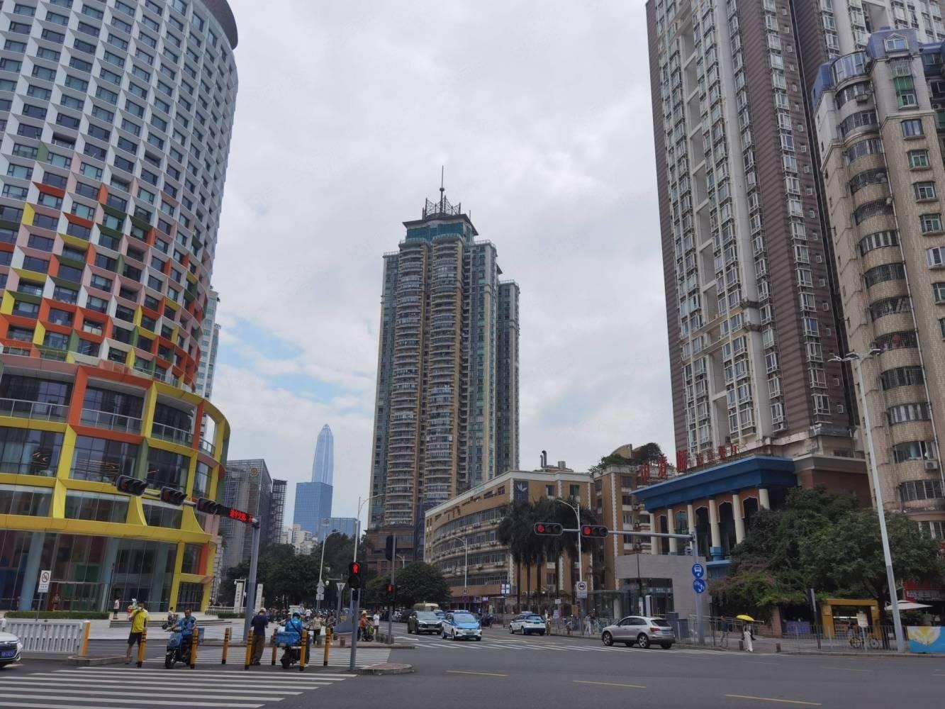 深圳缔馨园二手房房源图片