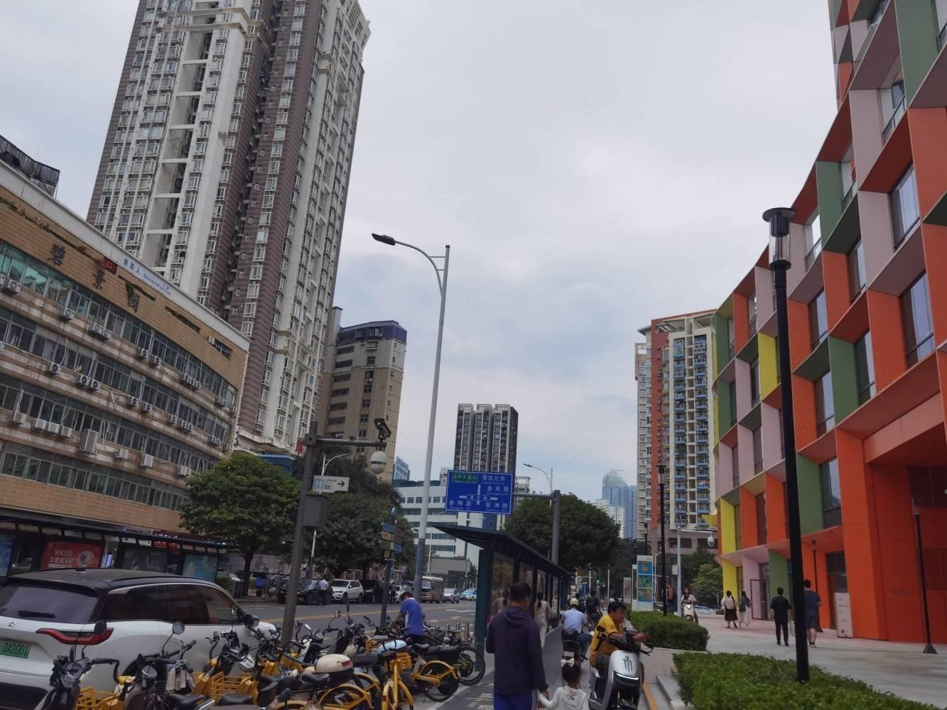 深圳缔馨园二手房房源图片