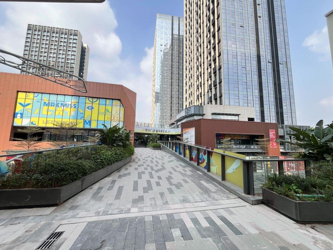 深圳仁恒前海梦公园东环路二手房房源图片