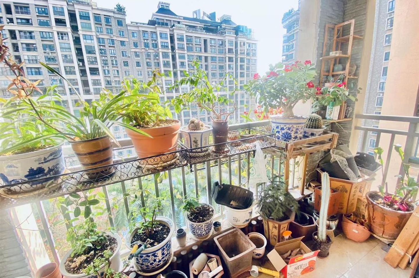 深圳天骄华庭二手房房源图片