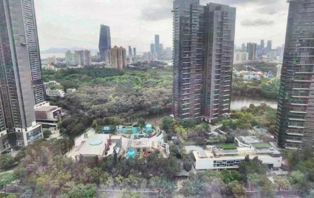 深圳香年广场二手房房源图片