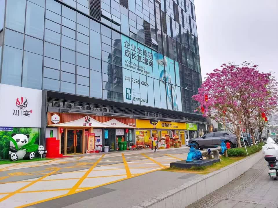 深圳星河拾六街二手房房源图片