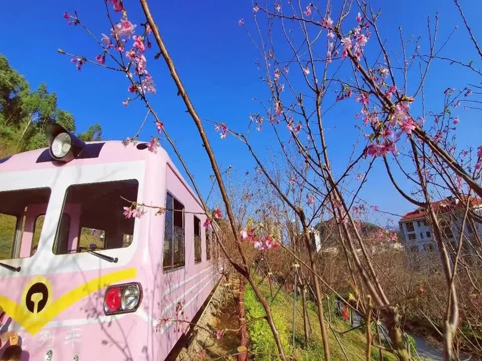 深圳深圳赤湾汇(暂名)二手房房源图片