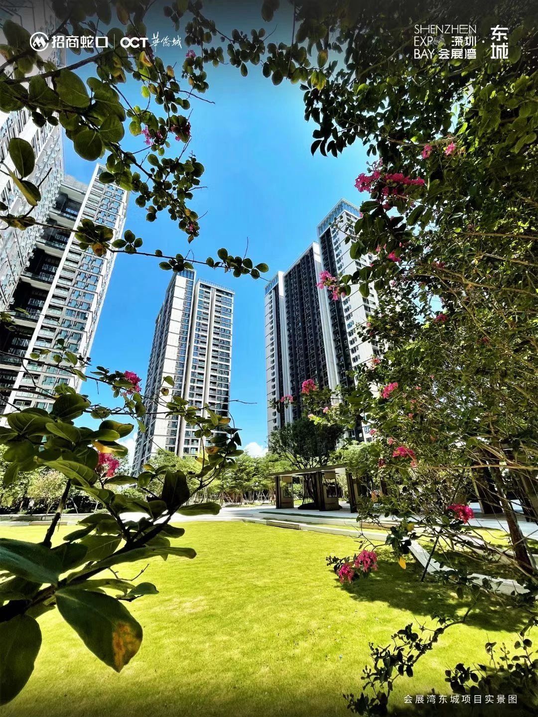 深圳会展湾东城广场(商住楼)二手房房源图片