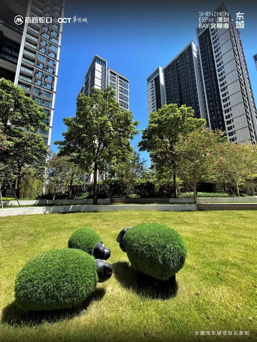 深圳会展湾东城广场(商住楼)二手房房源图片