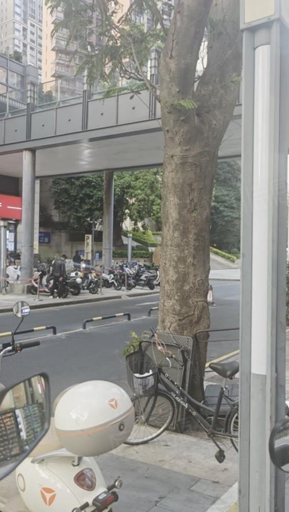 深圳中洲华府一期二手房房源图片