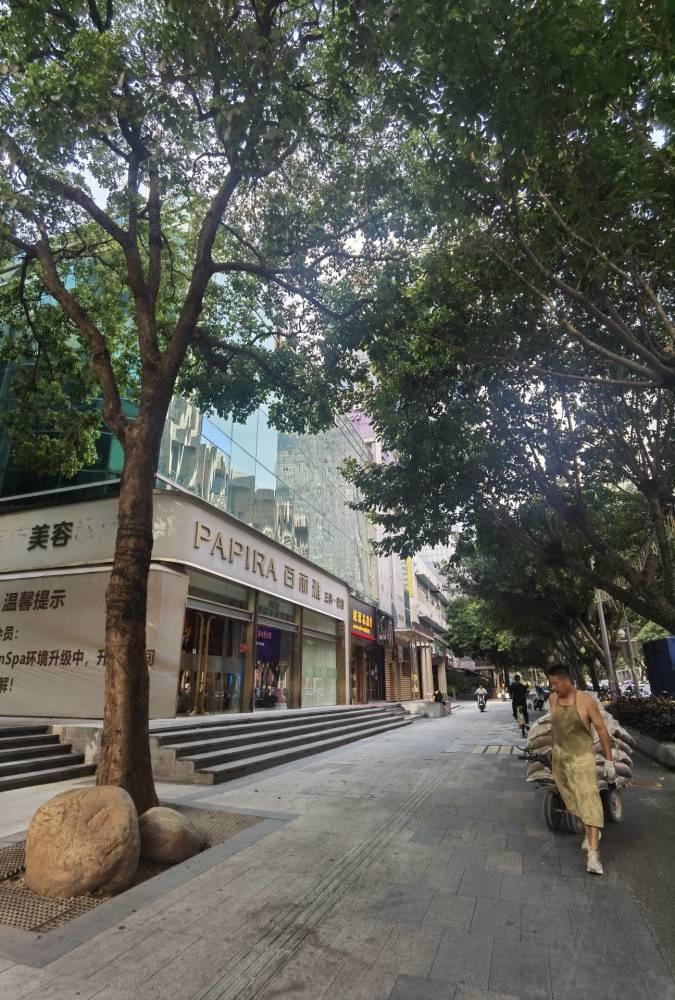 深圳购物公园二手房房源图片