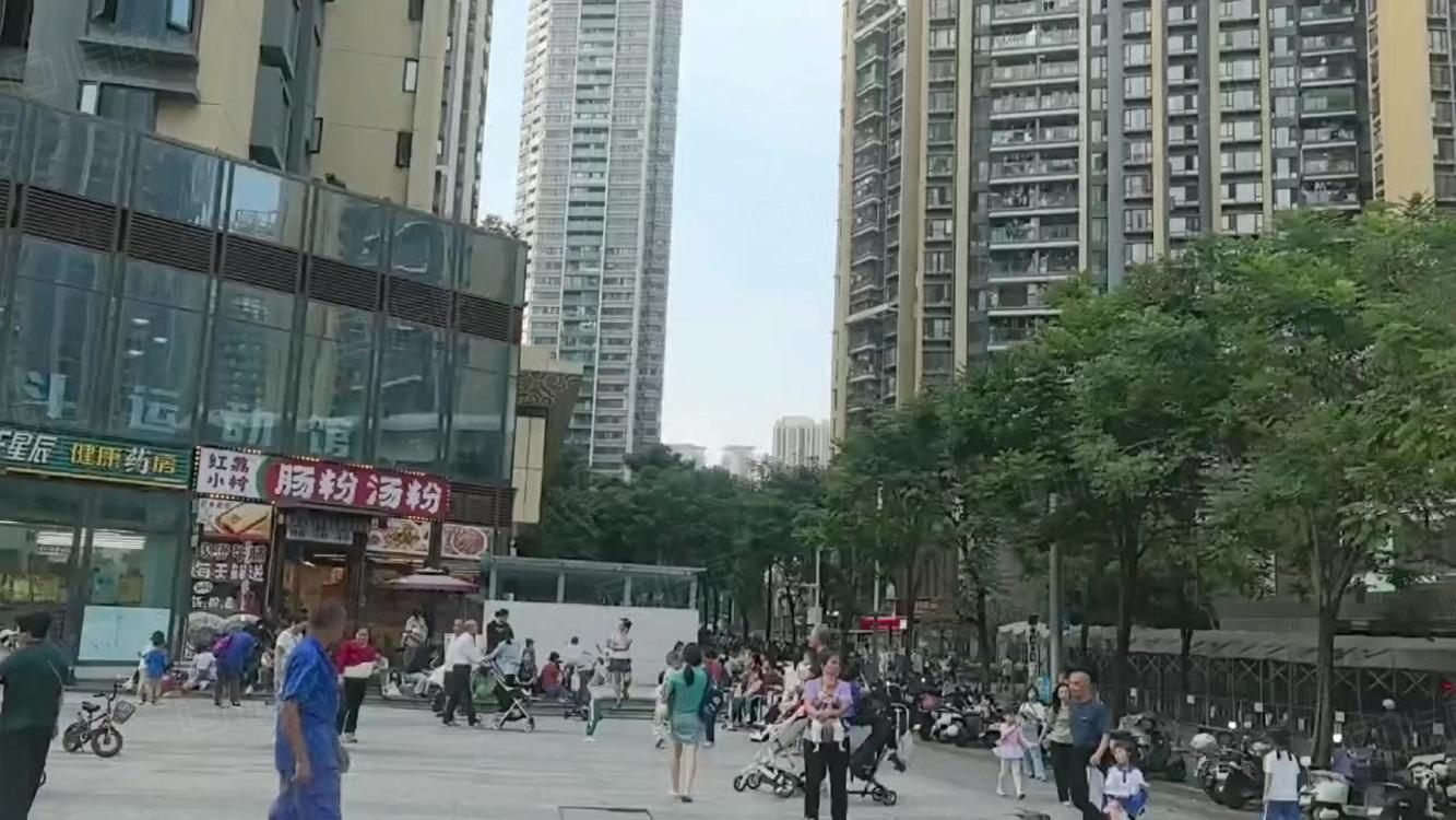 深圳星河传奇民塘路商铺二手房房源图片