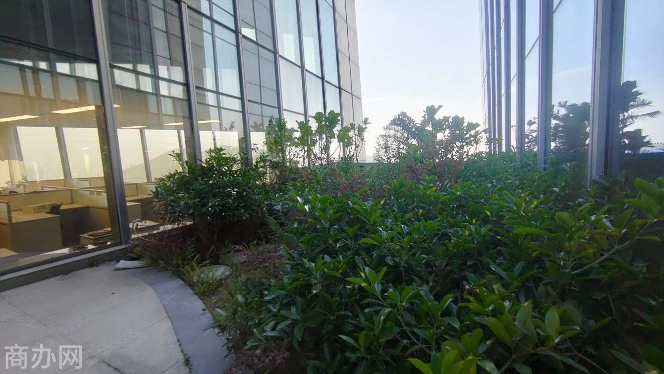 深圳太子广场二手房房源图片