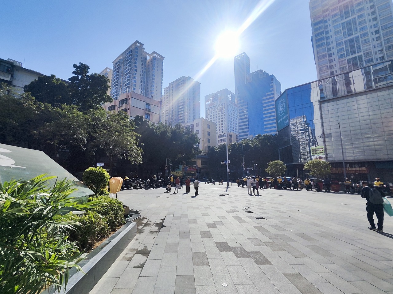 深圳宝树台二手房房源图片