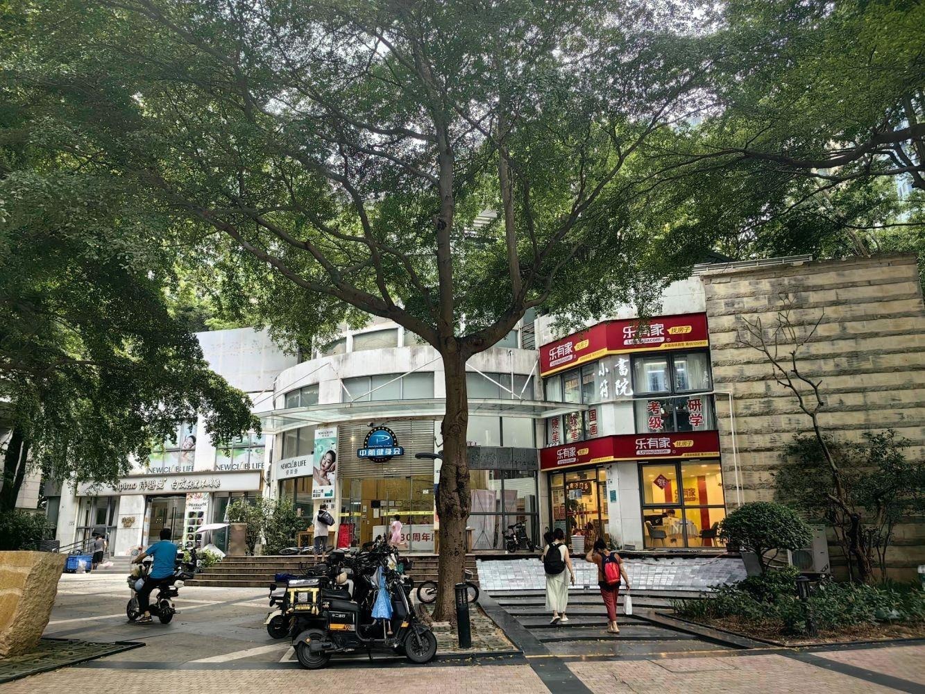 深圳碧海云天二手房房源图片