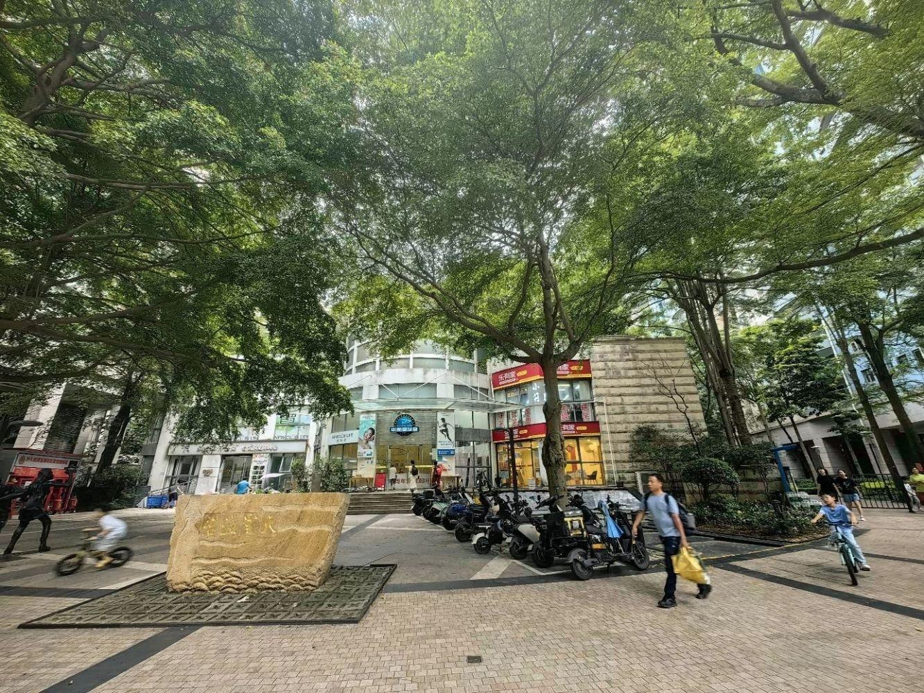 深圳碧海云天二手房房源图片