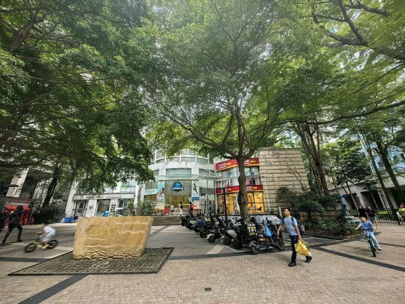 深圳碧海云天二手房房源图片