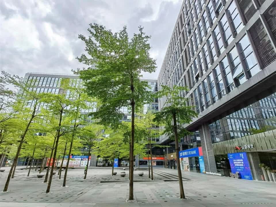 深圳福年广场二手房房源图片