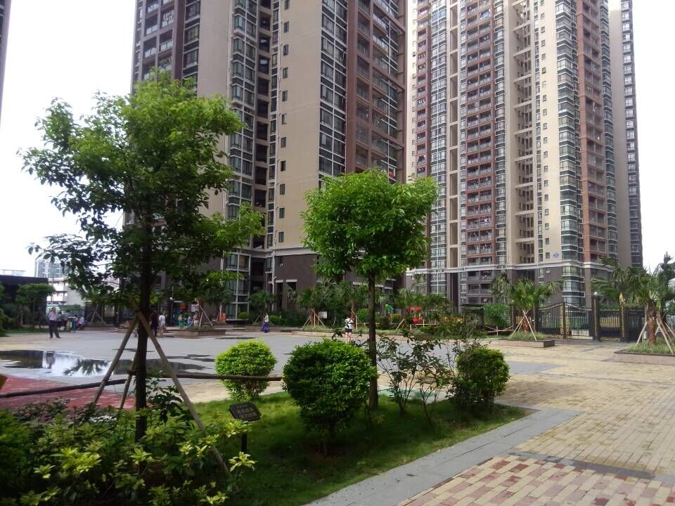 沙井名豪丽城 环境优美 业主股票亏大了 便宜出售