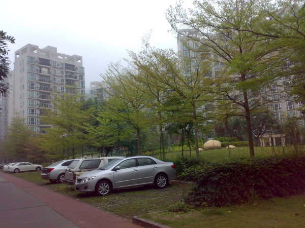 【多图】三九花园二手房,53万,工作调动,二十万买大三房,送家私 ,带