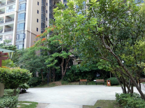 翠竹-罗湖翠竹苑2室1厅1卫3300元 翠竹地铁口 家私全齐