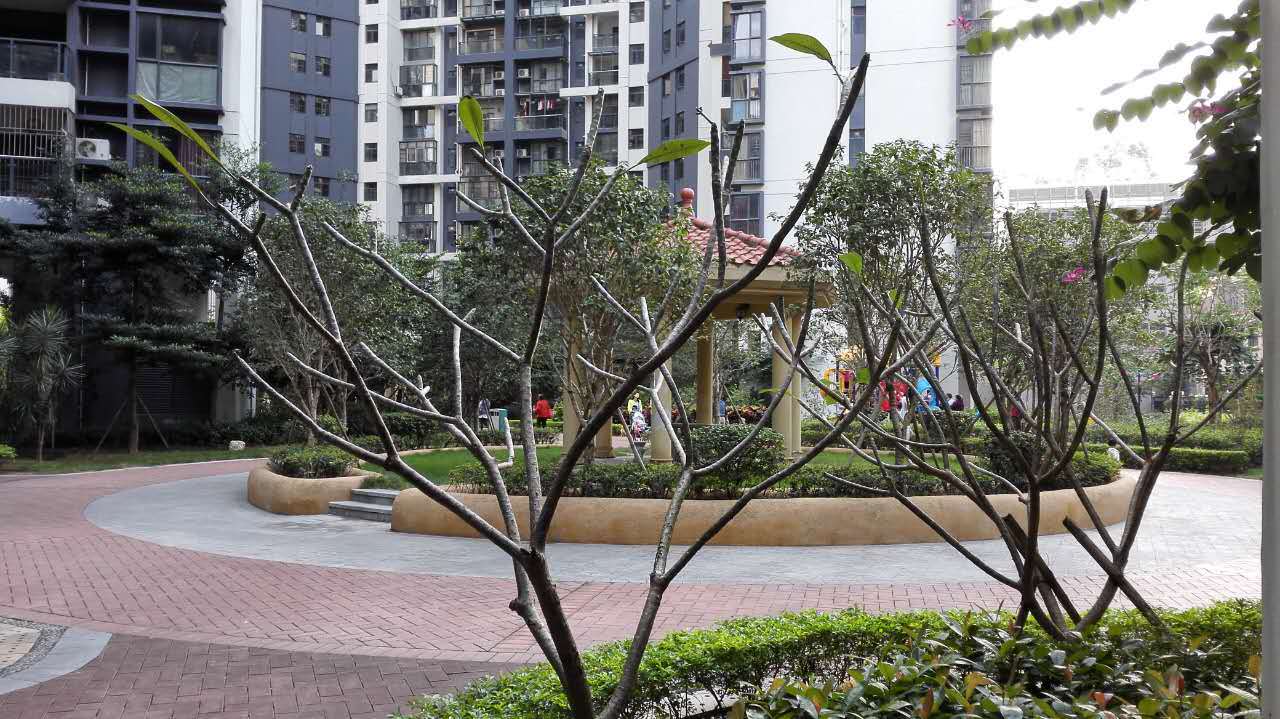 龙军花园3室90万元 首付45万 月供3800 租金4500_深圳二手房-话房网