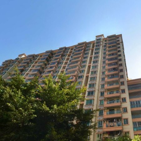 推推99深圳房产网皇御苑二期外景图