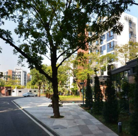 槟榔园小区相册