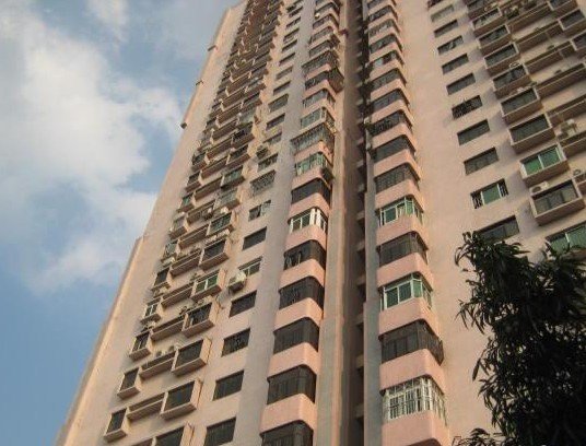 凤凰 临近地铁 峰景台大厦 精装修,配置齐全