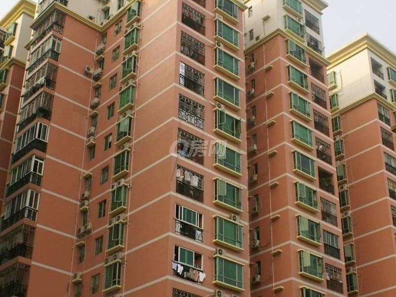 推推99深圳房产网金园花园外景图