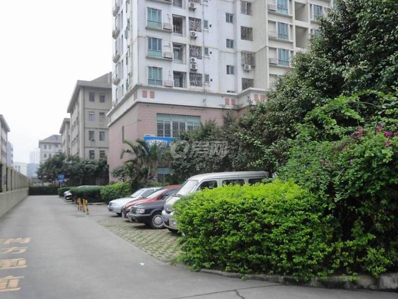 深城公寓 红岭北路 2房一厅 交通方便 性价比高